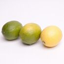 家庭用 レモン2.5kg+250g（傷み補償分）【和歌山有田産】【防腐剤・WAX不使用、安心の国産レモン】【わけあり・訳ありレモン】 ［IKE124］