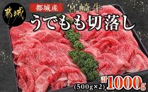 宮崎牛うでもも切落し