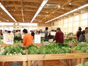 川崎市市内産新鮮野菜・農産物詰め合わせ