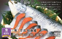【熟成】 ブランド鮭 「銀聖」 1尾(切身)　