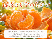紀州有田産せとか約3kg　とろける食感！ジューシー柑橘［2027年3月上旬以降発送］［先行予約］［UT03］
