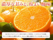 紀州有田産せとか約3kg　とろける食感！ジューシー柑橘［2027年3月上旬以降発送］［先行予約］［UT03］