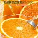 とにかくジューシー清見オレンジ 5kg[2025年3月下旬以降発送][先行予約][UT53]