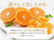 赤秀品&nbsp;紀州和歌山ハウスみかん&nbsp;2.5kg［2027年6月末頃～2027年7月中旬頃に順次発送］［UT87］