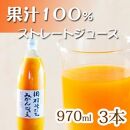 果汁100%　田村そだちみかんジュース　970ml×3本