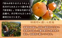 富有柿 2L玉サイズ 約3kg（12玉入り）【フルーツ 果物 くだもの 食品 人気 おすすめ 送料無料】