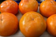 富有柿 2L玉サイズ 約3kg（12玉入り）【フルーツ 果物 くだもの 食品 人気 おすすめ 送料無料】
