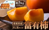 富有柿 3L玉サイズ 約5kg（15玉入り)【フルーツ 果物 くだもの 食品 人気 おすすめ 送料無料】