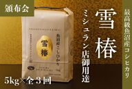 【頒布会】最高級魚沼産コシヒカリ「雪椿」5kg×全3回　特別栽培米