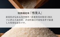 魚沼産コシヒカリ特別栽培米　「雪美人」（5kg）