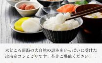 魚沼産コシヒカリ特別栽培米　「雪美人」（5kg）