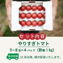 【先行予約】やりすぎトマト（4パック計約1kg）（冬季）（2023年12月上旬～発送）