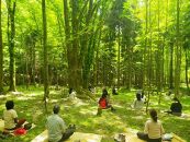 ◇【お大師様の森林を体感する】高野山森林セラピー体験ツアー
