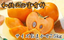  [甘柿の王様]和歌山産富有柿　約7.5kg サイズおまかせ★2024年11月上旬頃より順次発送【TM5】