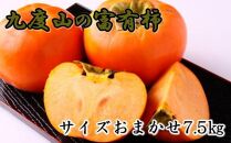 ≪柿の名産地≫九度山の富有柿約7.5kgサイズおまかせ★2024年11月上旬頃より順次発送【TM2】