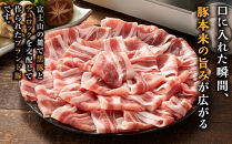 豚肉&nbsp;富士ケ嶺ポーク&nbsp;ロース&nbsp;しゃぶしゃぶ&nbsp;1kg&nbsp;（500g&nbsp;×2パック）&nbsp;｜&nbsp;富士河口湖町&nbsp;豚肉&nbsp;しゃぶしゃぶ用スライス&nbsp;新鮮&nbsp;肉質やわらか&nbsp;人気&nbsp;おすすめ&nbsp;国産&nbsp;山梨&nbsp;ブランドポーク&nbsp;セット&nbsp;家族向け&nbsp;冷凍&nbsp;保存食&nbsp;料理素材&nbsp;ギフト&nbsp;食卓&nbsp;お取り寄せ&nbsp;通販&nbsp;送料無料&nbsp;ふるさと納税