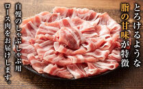 豚肉&nbsp;富士ケ嶺ポーク&nbsp;ロース&nbsp;しゃぶしゃぶ&nbsp;1kg&nbsp;（500g&nbsp;×2パック）&nbsp;｜&nbsp;富士河口湖町&nbsp;豚肉&nbsp;しゃぶしゃぶ用スライス&nbsp;新鮮&nbsp;肉質やわらか&nbsp;人気&nbsp;おすすめ&nbsp;国産&nbsp;山梨&nbsp;ブランドポーク&nbsp;セット&nbsp;家族向け&nbsp;冷凍&nbsp;保存食&nbsp;料理素材&nbsp;ギフト&nbsp;食卓&nbsp;お取り寄せ&nbsp;通販&nbsp;送料無料&nbsp;ふるさと納税