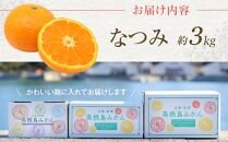 ☆先行&nbsp;予約&nbsp;濃厚すぎるほど濃いみかん　手で剥ける初夏のみかん　なつみ　3ｋｇ＜2026年4月上旬より発送開始＞
