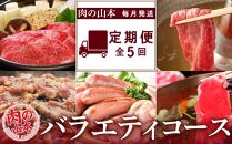 【頒布会・毎月お届け!】肉の山本 バラエティコース全5回