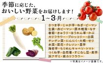 rk014　お味噌と野菜８品セット