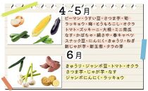 rk014　お味噌と野菜８品セット