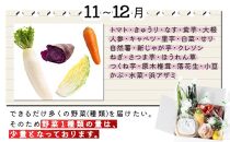 rk014　お味噌と野菜８品セット