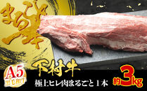 【大府市特産】A5黒毛和牛『下村牛』極上ヒレ肉まるごと１本&nbsp;牛肉&nbsp;フィレ&nbsp;ヘレ
