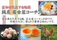 日本三大地鶏！！　本当に美味しい食べ物は調味料の味に負けません！「純系　名古屋コーチンの卵」（30個）