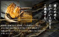 【極上三河一色産】うなぎ蒲焼 2尾（名古屋の名店「熱田蓬莱軒」 直伝）