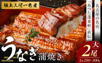 【極上三河一色産】うなぎ蒲焼&nbsp;2尾（名古屋の名店「熱田蓬莱軒」&nbsp;直伝）