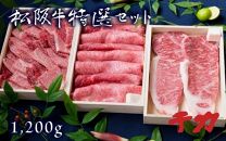 松阪肉特選セット　すき焼き・焼肉用・サーロインステーキ