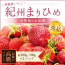 【2021年1月以降発送】紀州まりひめ苺 秀品250g~300g ×2