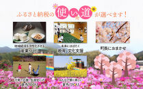 ＜道の駅おおとう桜街道さくら館＞大浴場回数券11枚綴り【温泉&nbsp;温泉施設&nbsp;回数券&nbsp;道の駅&nbsp;入浴&nbsp;日帰り入浴&nbsp;人気&nbsp;レジャー&nbsp;お出かけ&nbsp;旅行&nbsp;旅&nbsp;癒し&nbsp;福岡県&nbsp;大任町&nbsp;C005】