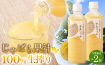 じゃばら果汁100％生搾り2本  [Pn6]