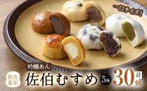 佐伯銘菓『佐伯むすめ』薄皮・味噌・利休・抹茶・チーズ 5種詰合せ(30個入1050ｇ）