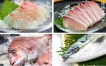 【刺身セット】佐伯産鯛&ぶり　低温熟成魚切り身　各約300g