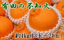 【濃厚】有田の不知火約4kg（13～24玉）★2025年2月上旬頃より順次発送【TM31】