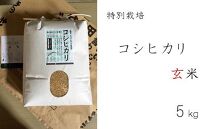 特別栽培　コシヒカリ　玄米５kg