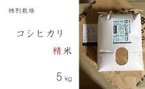 特別栽培　コシヒカリ　精米５kg
