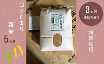【３か月連続お届け】特別栽培　コシヒカリ　精米５kg