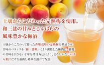 和歌山&nbsp;じゃばら&nbsp;うめ酒&nbsp;720ml&nbsp;2本【プレミア和歌山認定品】