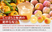 和歌山&nbsp;じゃばら&nbsp;うめ酒&nbsp;720ml&nbsp;2本【プレミア和歌山認定品】