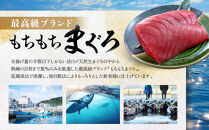 紀州勝浦港満足セット「もちもちまぐろ」３人前