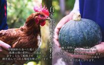 国産飼料にこだわった鶏が産む安全安心の 『レモン色たまご』1パック（10個入り）×3