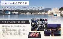 特選　生びんちょうまぐろ　お刺身用サク（約400グラム）