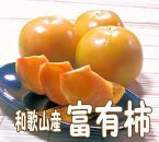 富有柿　5kg（柿の生産量日本一の和歌山から）
