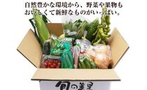 紀州の野菜・果物セット（15～20品目詰めわせ）