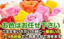 バラの花（約20本）花のまち御坊産の薔薇　新鮮直送！