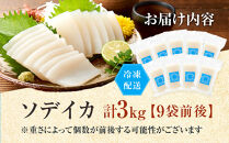 ヨロン島特産☆あま～いソデイカ&nbsp;3kgセット