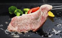 牛肉 登米産 仙台牛 サーロインステーキ 600g ( 約300g × 2枚 )